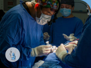Dr. Alejandro Sánchez | Mentoplastía
